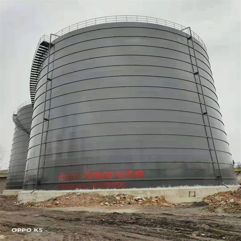 金州3万吨大型钢板库