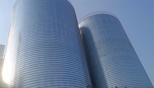 金州2座混凝土高架卷板仓