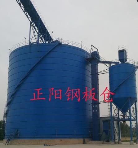 金州大型矿粉钢板库